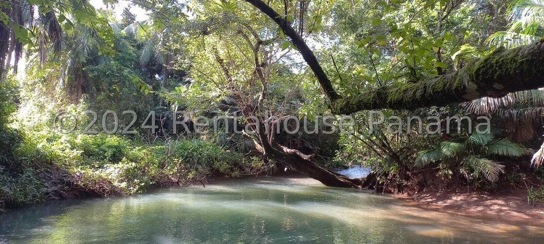 Land for Sale in Isla del Rey Panamá Province 07127